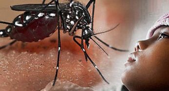 Demam Berdarah Dengue, Ancaman Tumbuh Subur di Indonesia