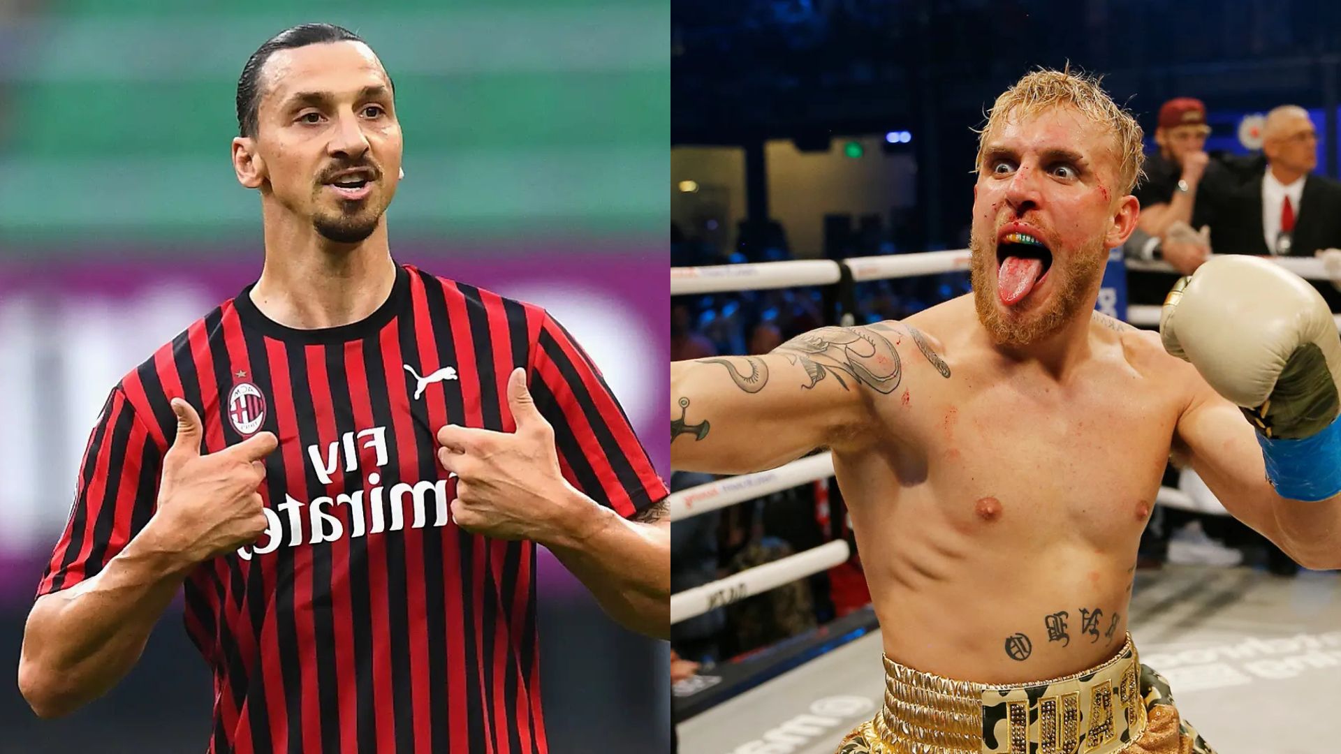 Jake Paul Tantang Zlatan Ibrahimovic Duel Tinju, Siap Bertarung?